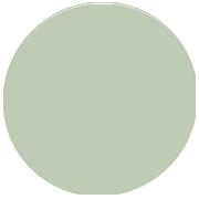 Robes demoiselle d'honneur Vert Sauge Meilleures